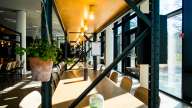 Cafe-odeon-social-borde